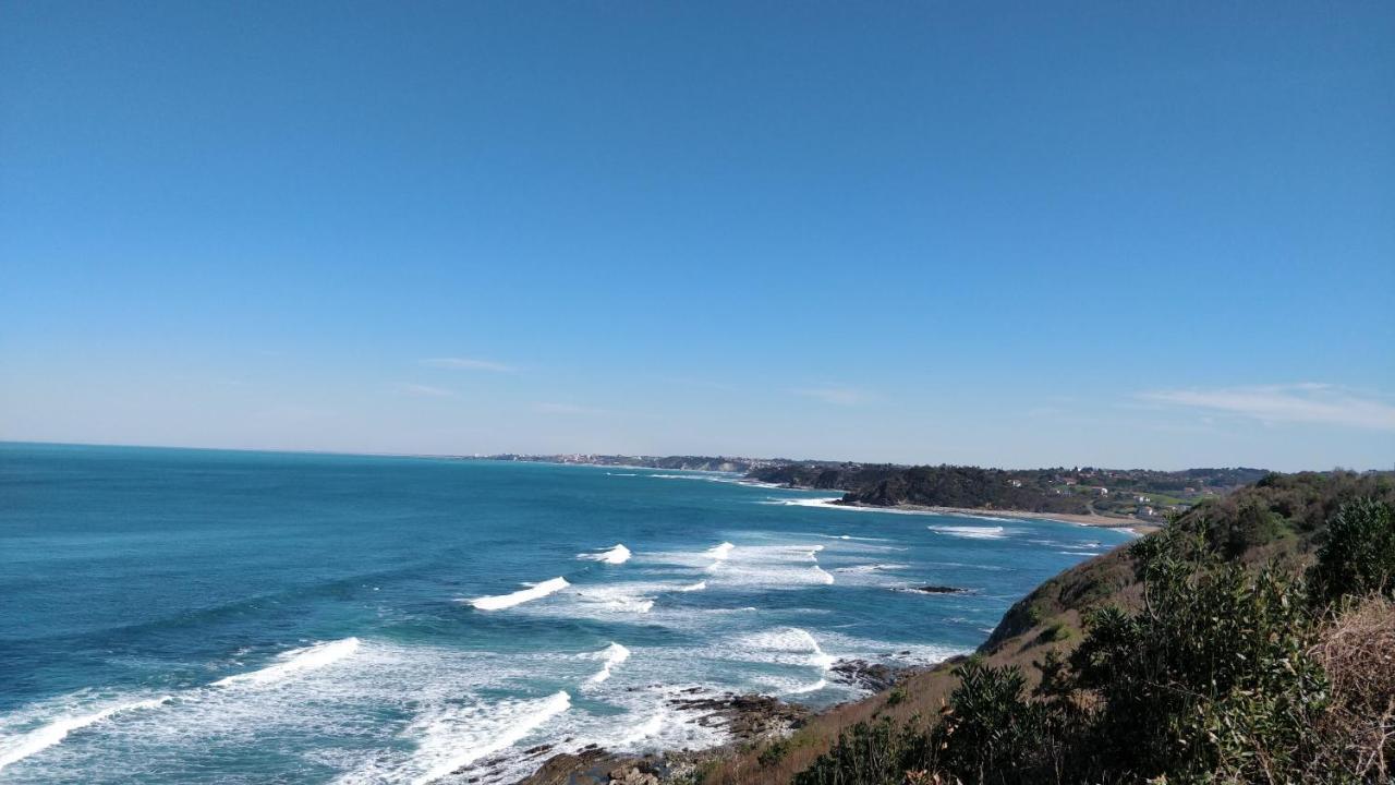 T1 Ou T2 Dans Villa Avec Jardin Proche Biarritz Anglet Eksteriør billede