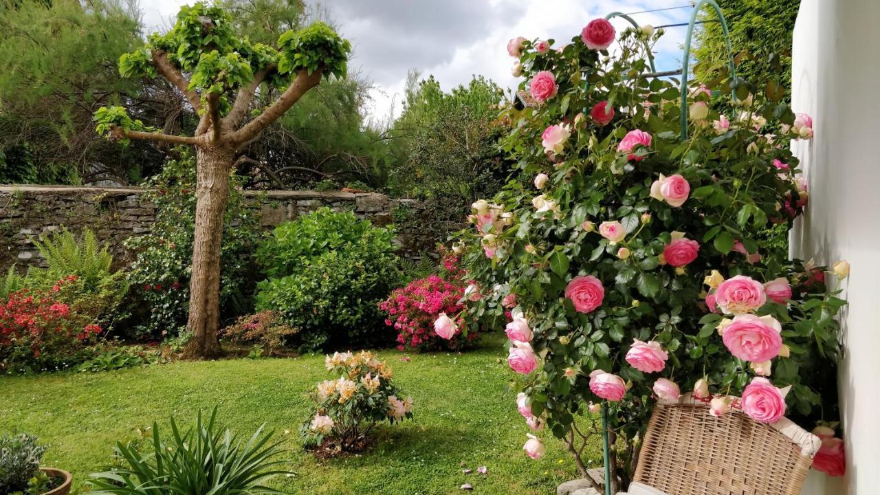 T1 Ou T2 Dans Villa Avec Jardin Proche Biarritz Anglet Eksteriør billede