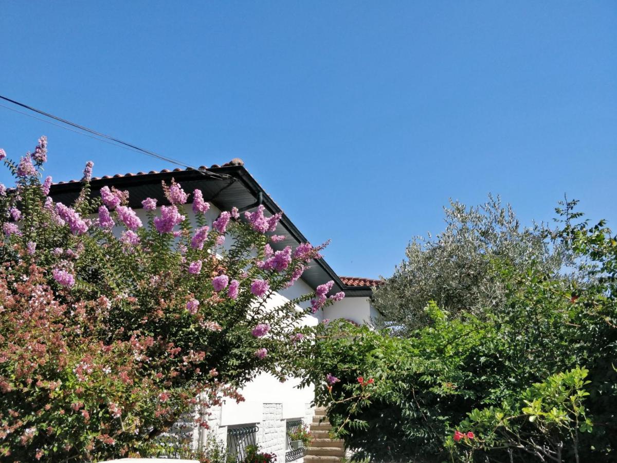 T1 Ou T2 Dans Villa Avec Jardin Proche Biarritz Anglet Eksteriør billede